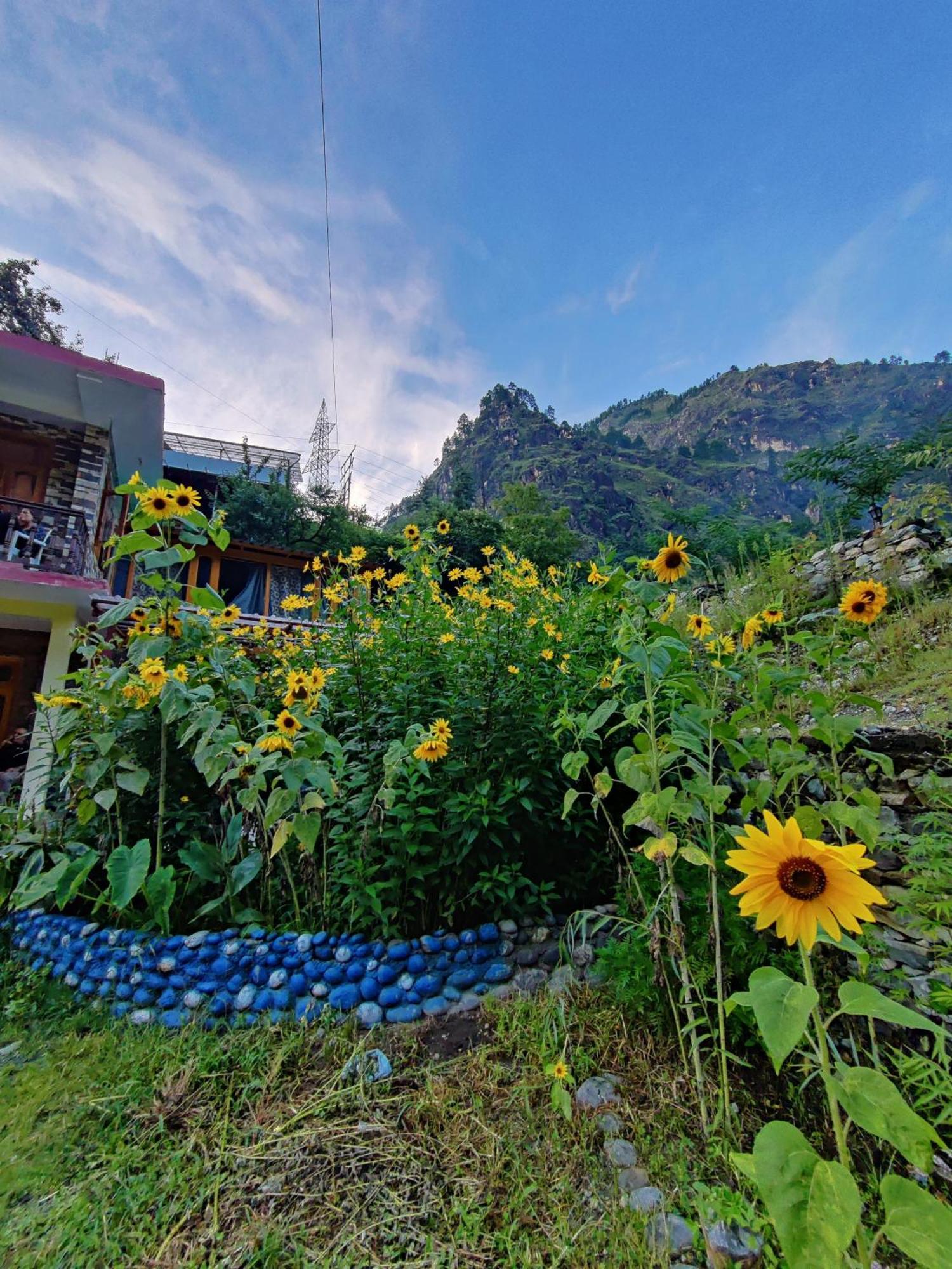 Flipsyde Retreat Hotel Kasol Bagian luar foto