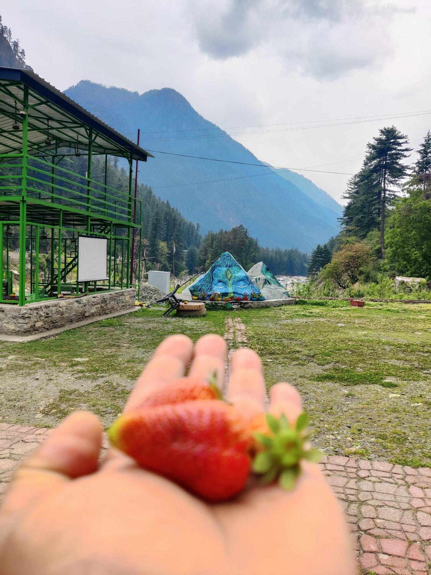 Flipsyde Retreat Hotel Kasol Bagian luar foto