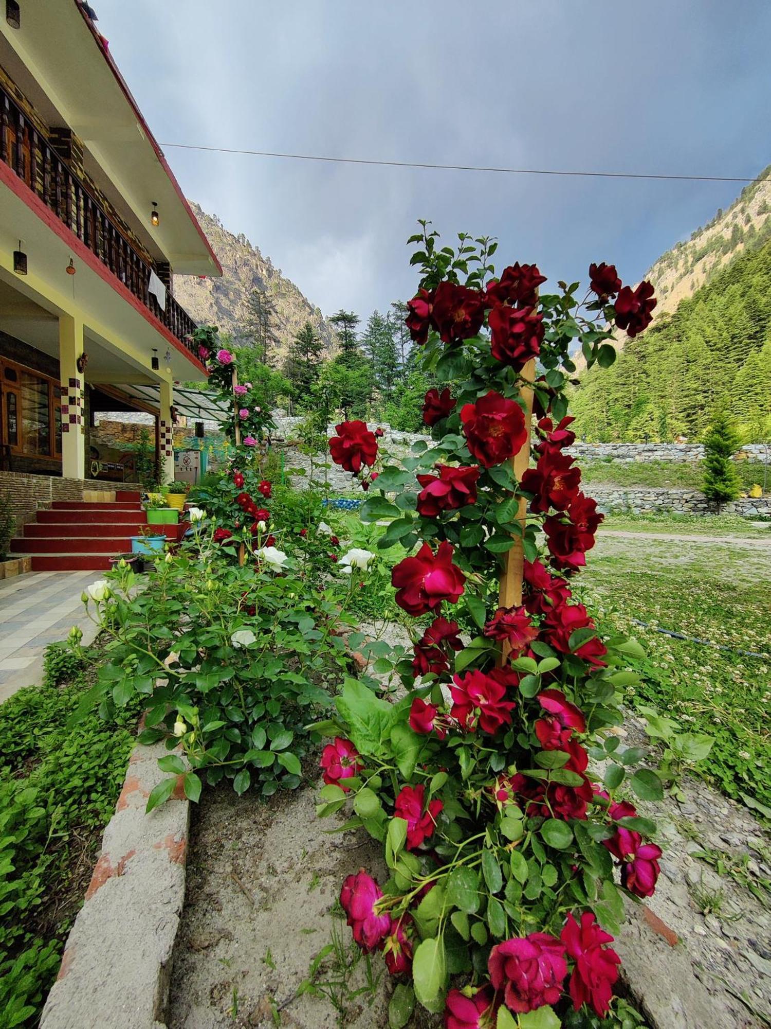 Flipsyde Retreat Hotel Kasol Bagian luar foto