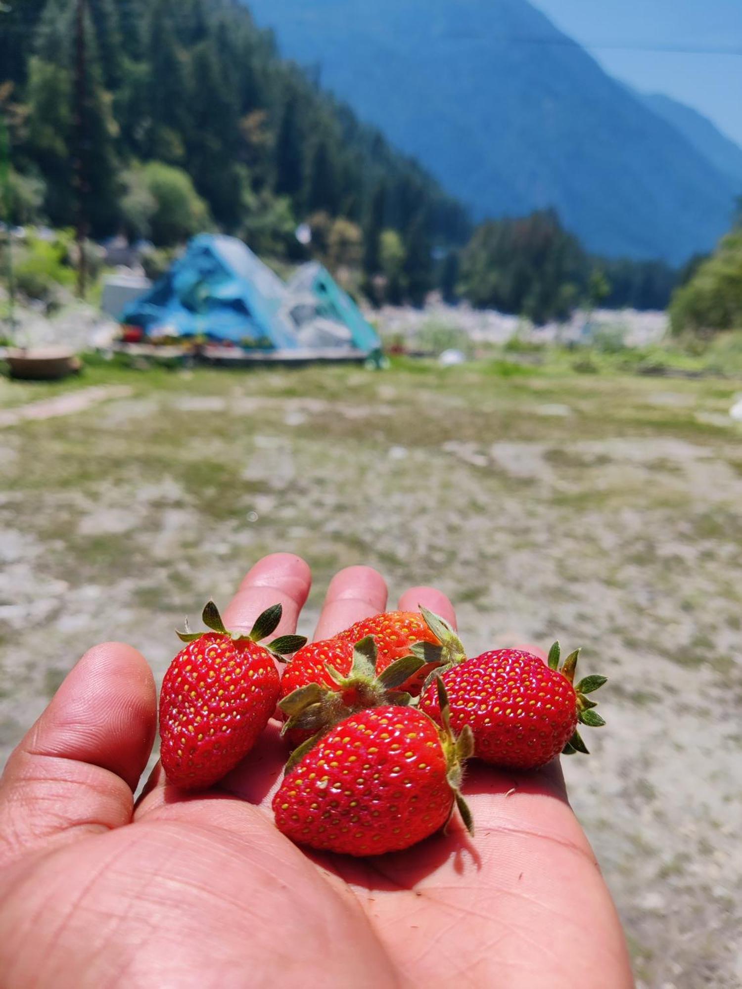 Flipsyde Retreat Hotel Kasol Bagian luar foto