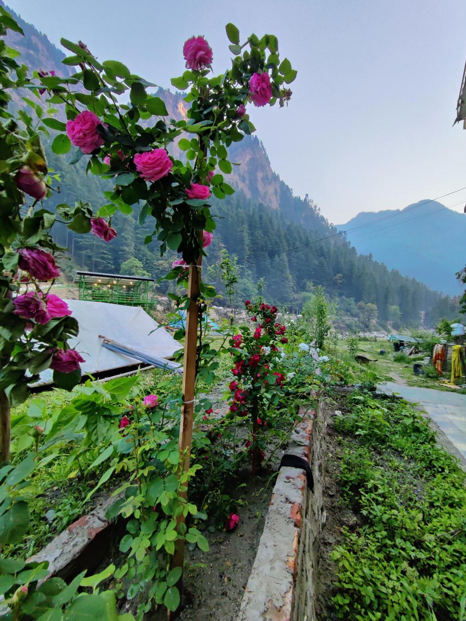 Flipsyde Retreat Hotel Kasol Bagian luar foto